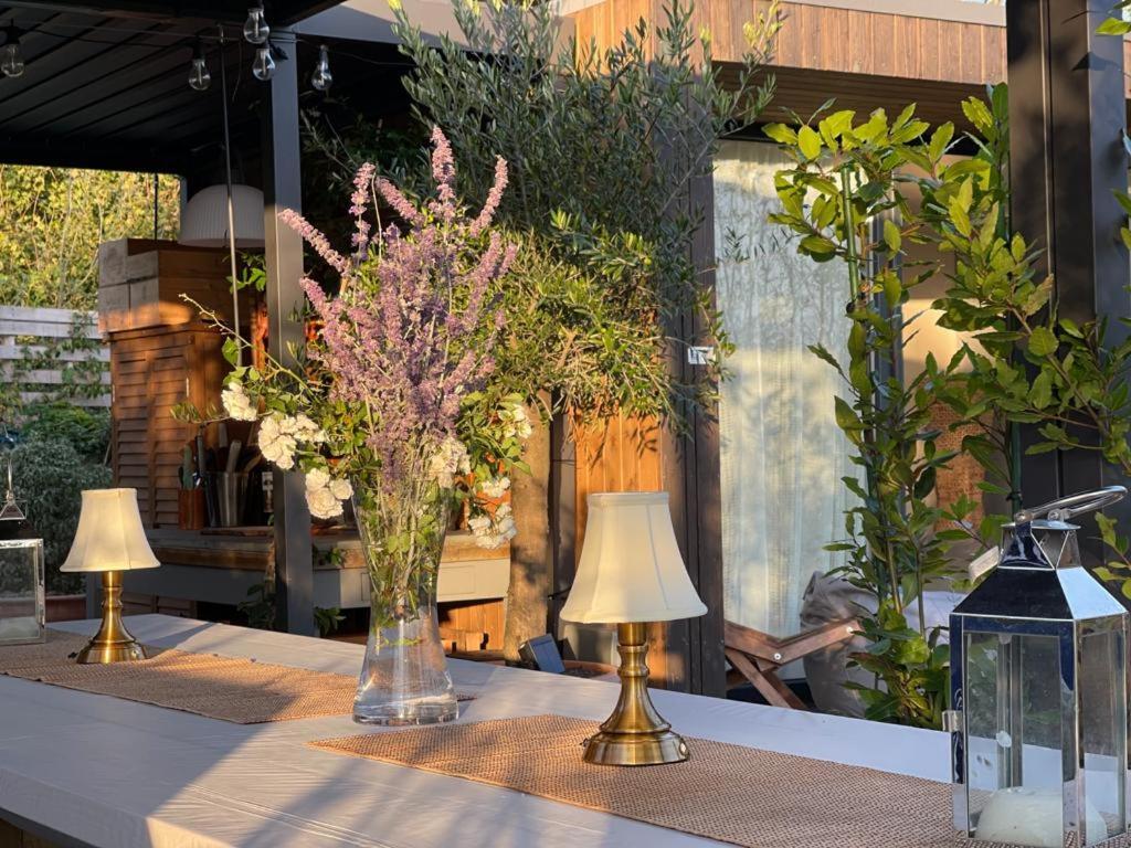 Dragonfly Glamping Spa Retreat Ashford  Exterior foto
